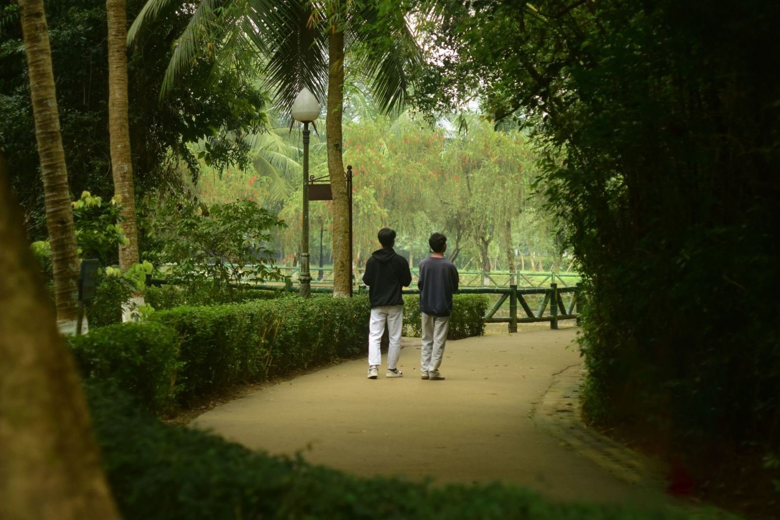 Two men walk side by side along a paved path in a green park