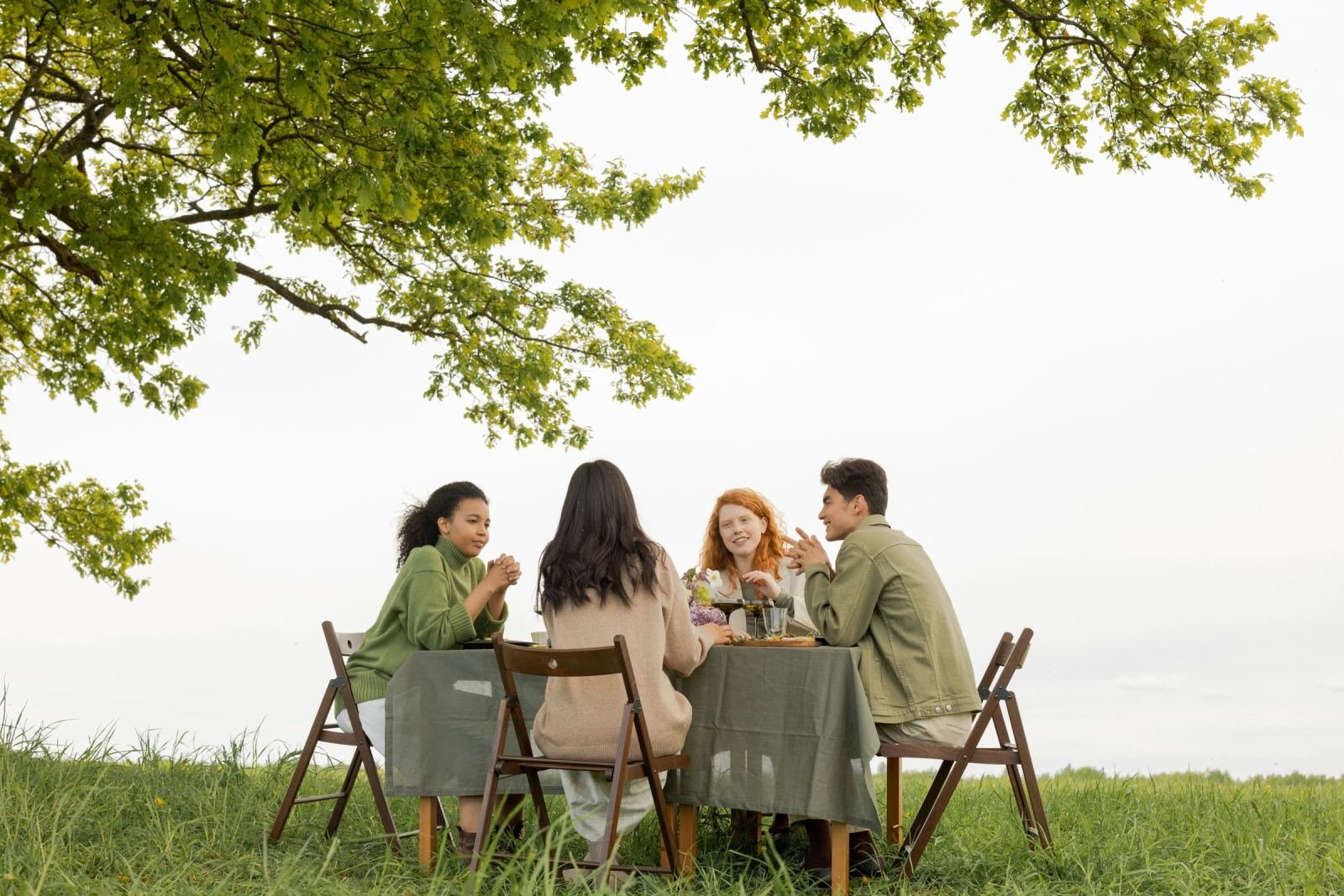 Four adults chat around a table in a grassy field under a tree