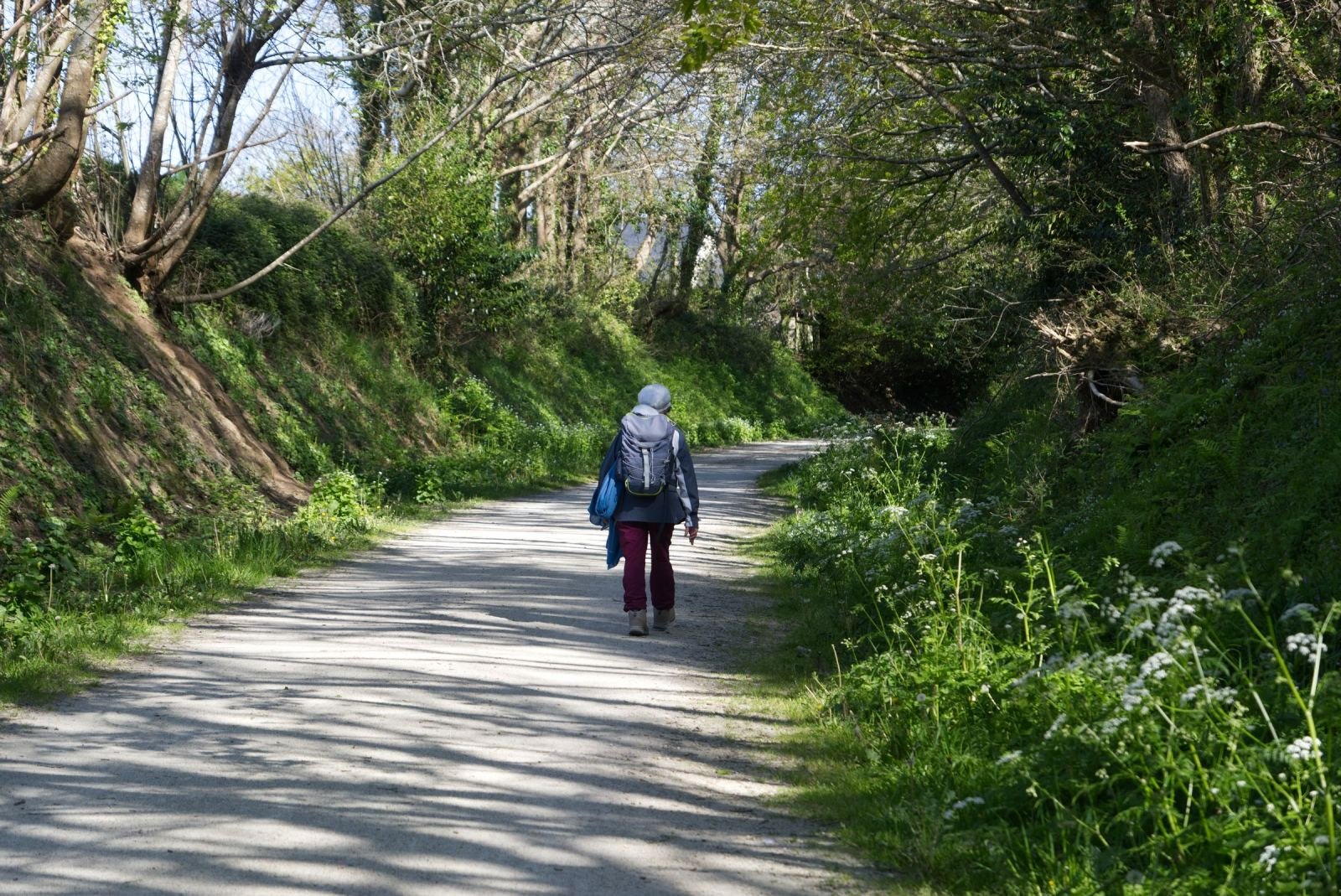 A person with a backpack walks down a sun-dappled dirt path through a forest